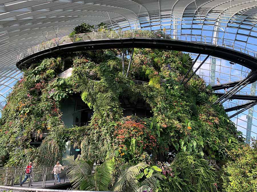 Cloud forest Singapoore